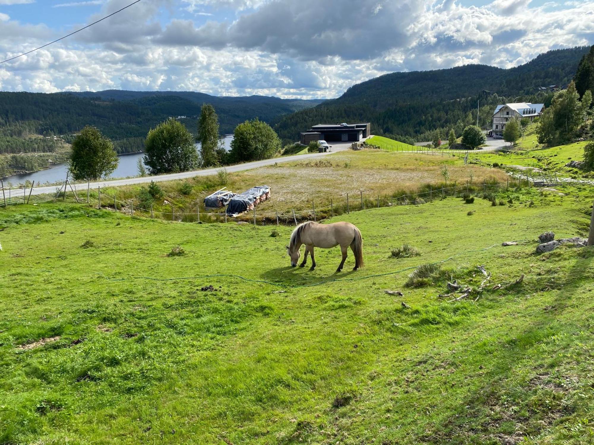 Øyuvstad Hygge Pa Fjellet 빌라 외부 사진